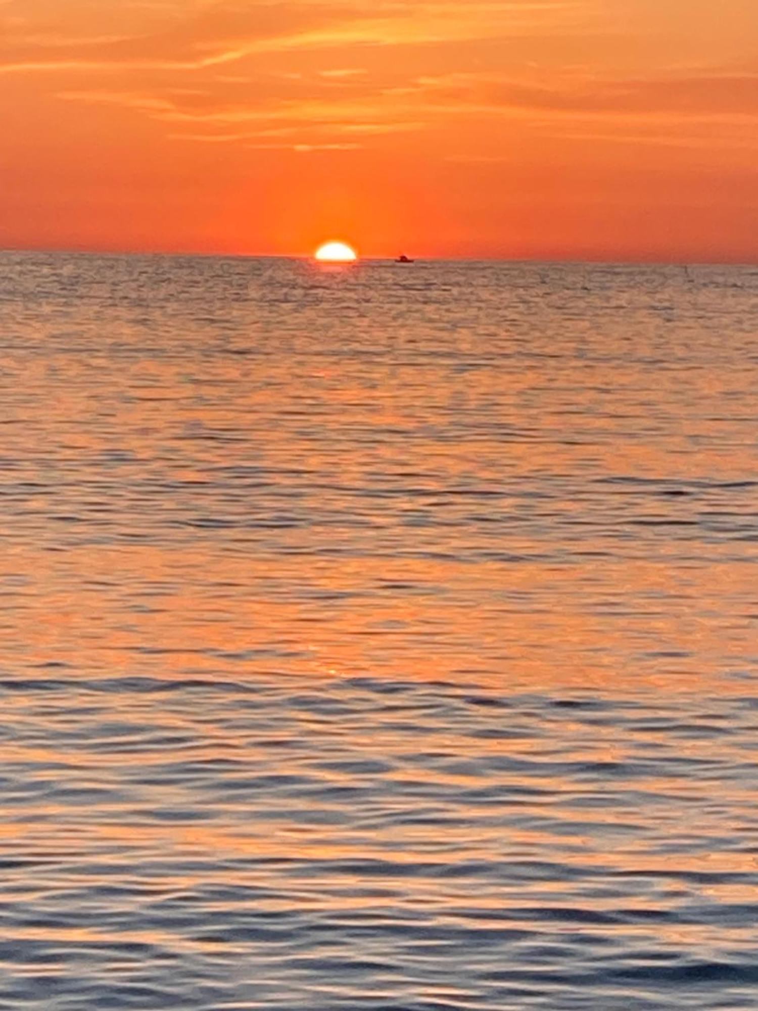 Les Palmiers Διαμέρισμα Saint-Cyr-sur-Mer Εξωτερικό φωτογραφία